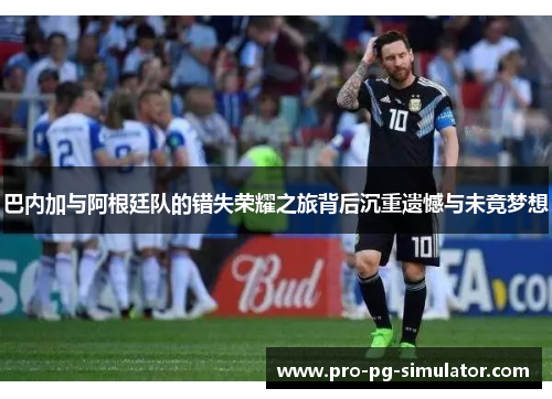 巴内加与阿根廷队的错失荣耀之旅背后沉重遗憾与未竟梦想