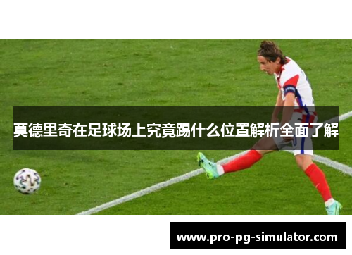 莫德里奇在足球场上究竟踢什么位置解析全面了解