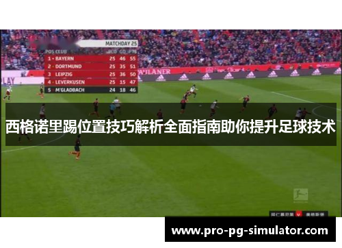 西格诺里踢位置技巧解析全面指南助你提升足球技术